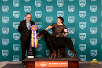Rottweiler #287 Fri BIS Judge Keith Kozaklewicz