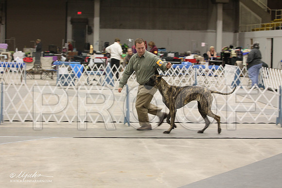 IMG_9306-Abilene2011-HR3