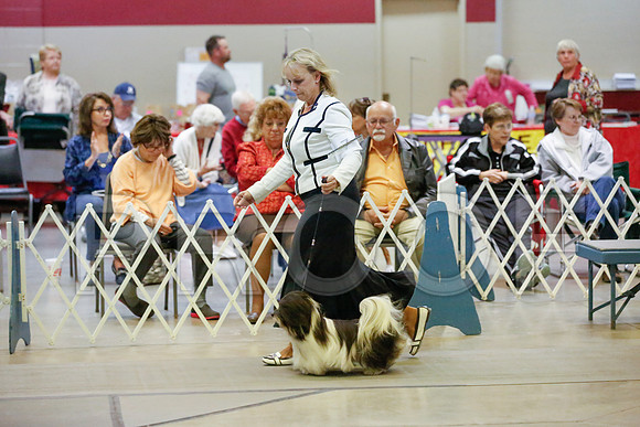 _JJ_0609-AmarilloSept2014-HR3