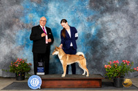 Shikoku Ken #5 Sun OG3 Judge John Booth