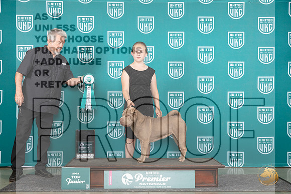 Chinese Shar Pei #1179 Thu JrSF Judge Diane Price__JP_1282_Premier_2024_HR3