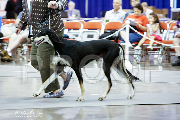 _JJ_6568-HstnJul2014-HR3