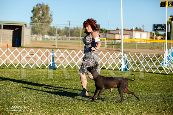 _JN_7911-AlamogordoOct2014-HR3