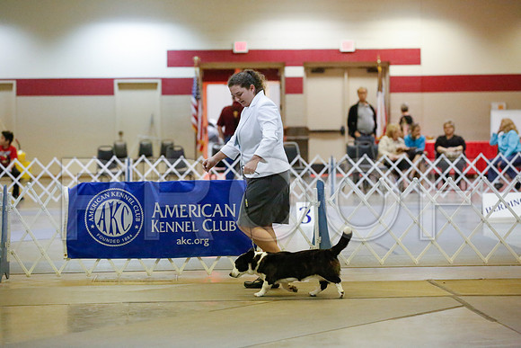 _JN_1024-AmarilloSept2014-HR3