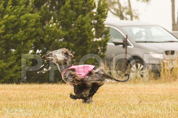 _MJ_3032-AfgBeltonOct2014-HR3