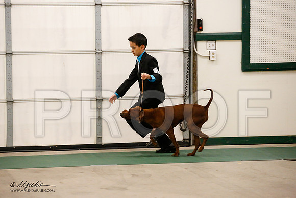 _JN_0694-NrmnNov2014-HR3