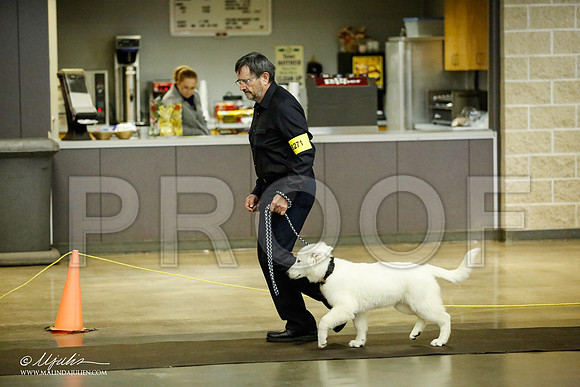 _JJ_6159-BeltonJan2015IABCA-HR3