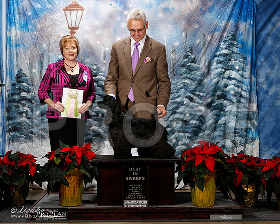 _ST_8057-2-DallasDec2014-HR3