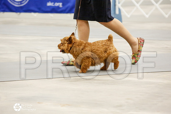 _CK_8810-AblnMay2014-web