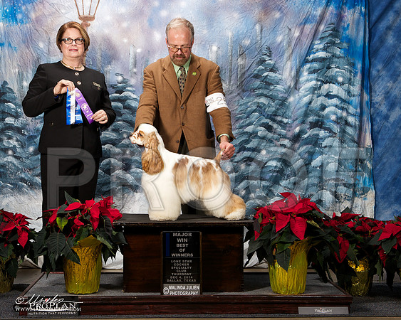 _ST_8054-DallasDec2014-HR3