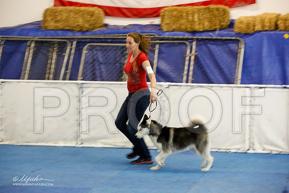 _M3_8150-AddisonHuskyMar2015-HR3