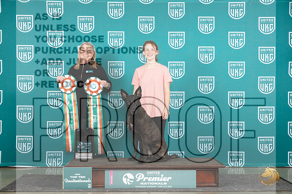 Dutch Shepherd #203 Thur RM1 Judge Terri Raine__JP_1177_Premier_2024_HR3