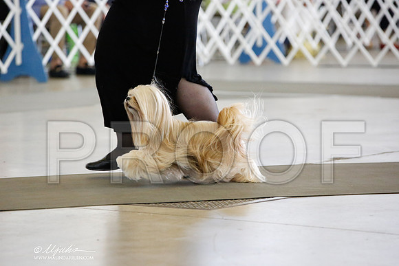 _JN_4568-DallasJul2014-HR3