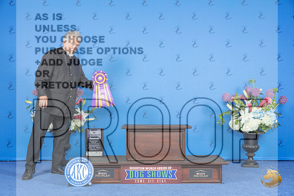 Lhasa Apso # WED BISp BOB Judge Denise Flaim__JP_0038_Houston_2024_HR3