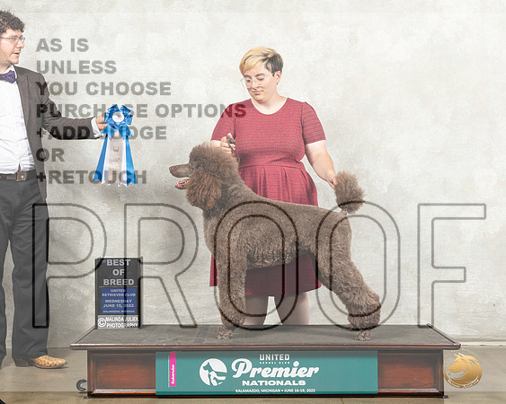Poodle #454 Wed COC Judge Sharon Griffin_MMJ_6943_Premier_2022_HR3