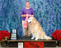 #377 Thurs 1st Veteran Novice Starburst's Brayn The Scot UDX, VER, OM2, RN AN2 Lucinda Rice