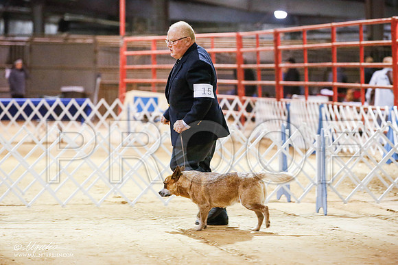 _JN_4038-2-GlenRoseJan2015-HR3