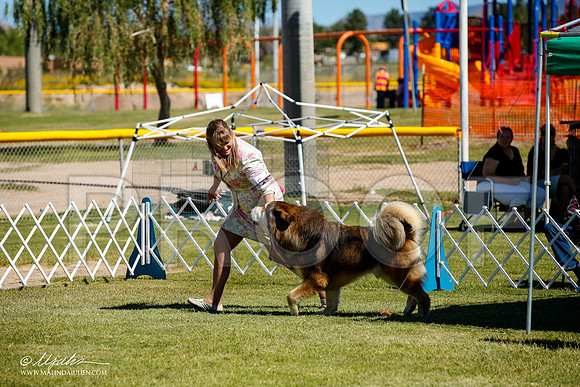 _JJ_0229-AlamogordoOct2014-HR3