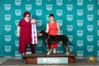 LCLD #624 Sat BIS Judge Tracie Karsjens