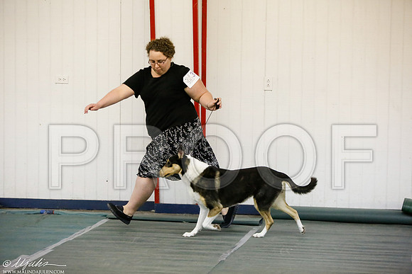 _MJ_5541-DentonMar2015-HR3