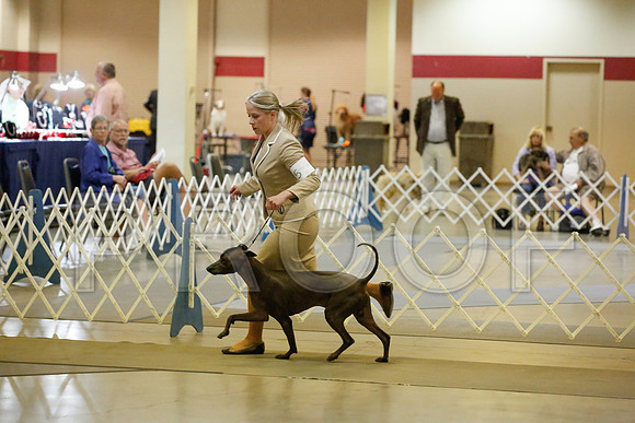 _JJ_8504-AmarilloSept2014-HR3