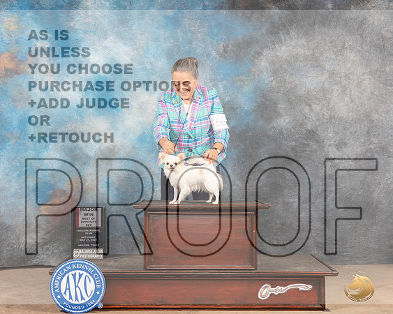 Chihuahua Long Coat #14 Sat WBBOS Judge Peggy McIlwaine-MMJ_4010-Abilene2022-HR3