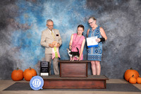 Chiahuahua #J604 Sun BJr Judge Tim Catterson