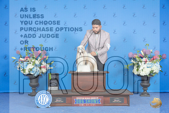 Shi Tzu #5 SUN OHRBIS Judge __JP_0977_Houston_2024_HR3