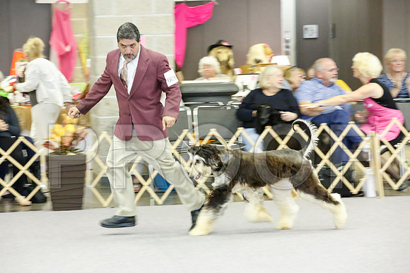 _JJ_0247-AfgBeltonOct2014-HR3