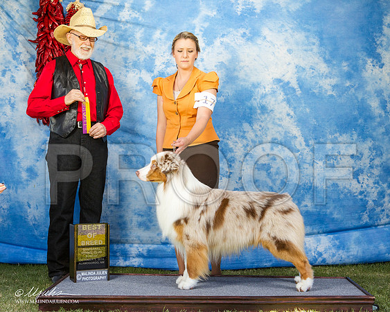 _ST_3171-AlamogordoOct2014-HR3