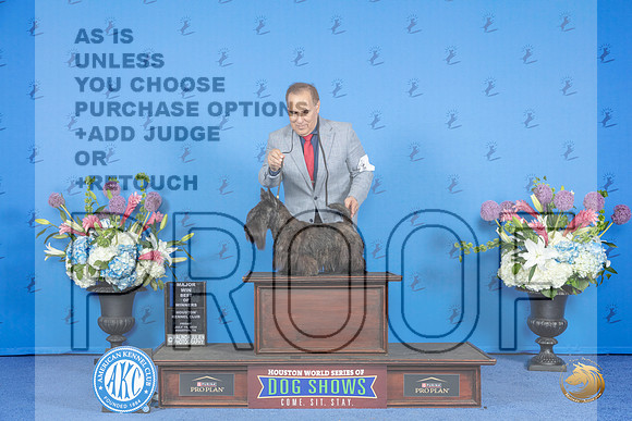 Scottish Terrier #5 FRI BOW M Judge Debbie Freeman__JP_9222_Houston_2024_HR3
