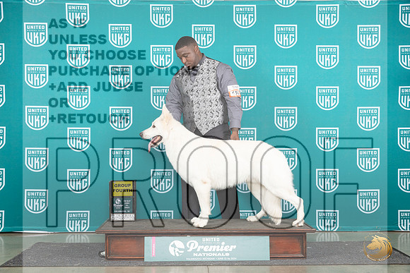 White Shepherd #681 Fri G4 Judge Stan Matsumoto__JP_1853_Premier_2024_HR3
