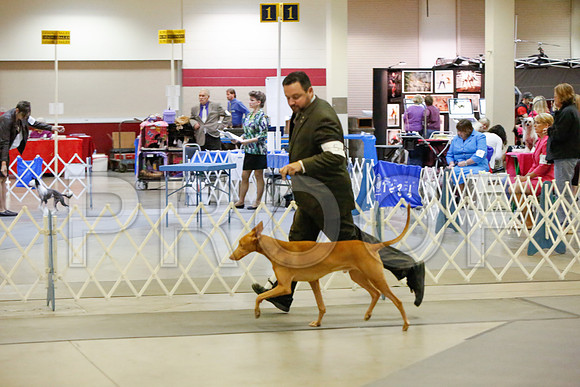 _JJ_2824-AmarilloSept2014-HR3