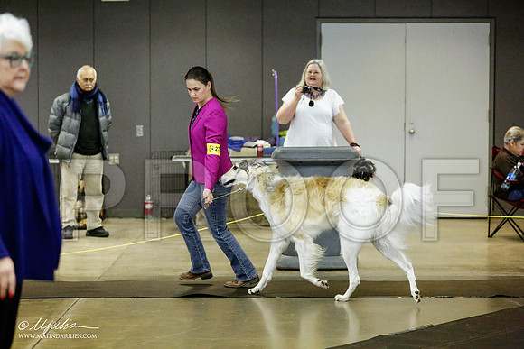 _RH_1437-BeltonJan2015IABCA-HR3