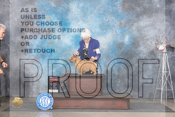 Norwich Terrier #6 Fri G2 Judge Jon Cole__JP_5437_Amarillo_2024_HR3