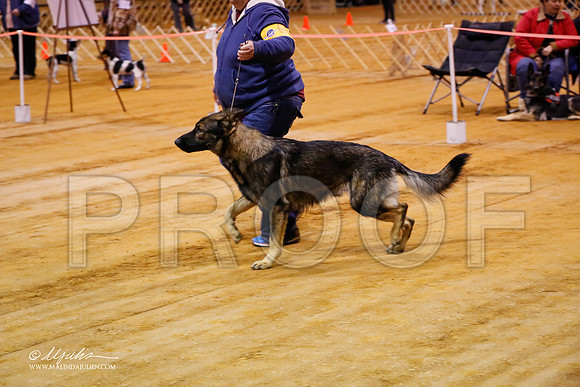GSD-9189-MrshllDec13-HR