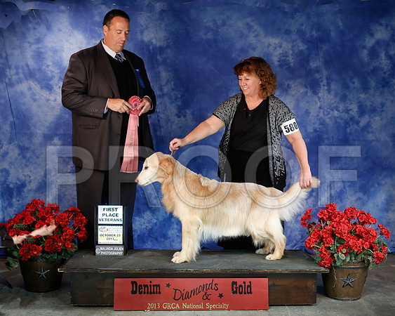 SweepsVet-6293-WFOct2013-HR