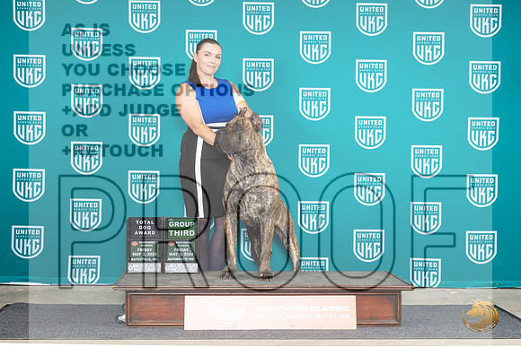 Presa Canario #710 Fri BOBG3TD Judge Valerie Piltz__JP_6293_BatesvilleMS_2024_HR3