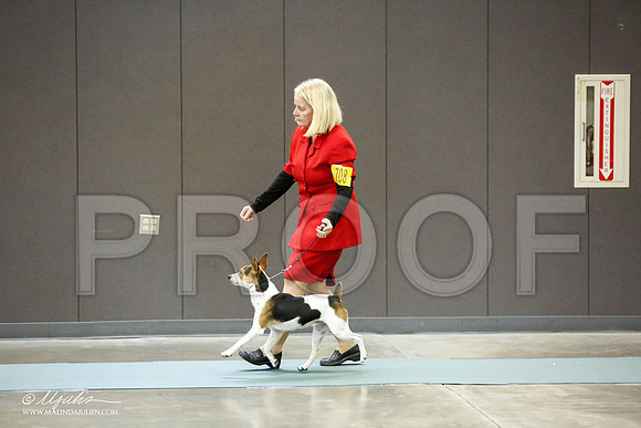 _RH_0386-BeltonJan2015-HR3