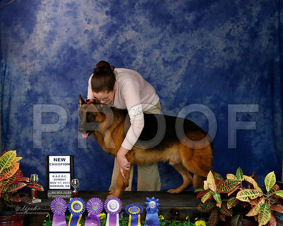 GSD-9632-NormNov13-HR