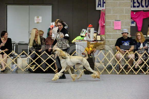 _JJ_8270-AfgBeltonOct2014-HR3