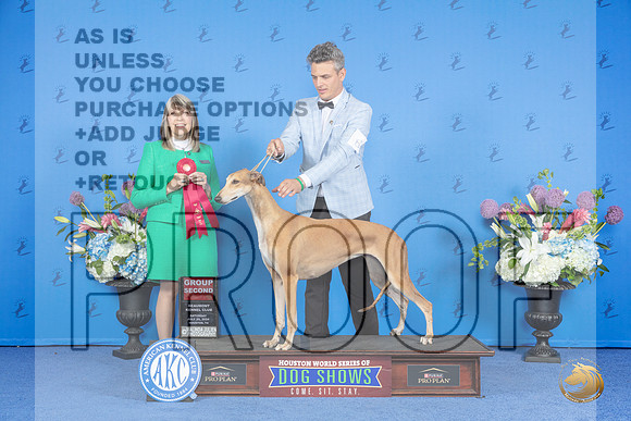 Greyhound #6 SAT G2 Judge Angela Pickett__JP_0018_Houston_2024_HR3