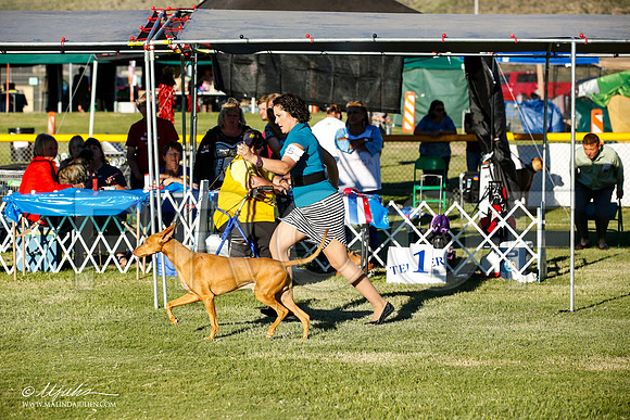 _JN_0130-AlamogordoOct2014-HR3