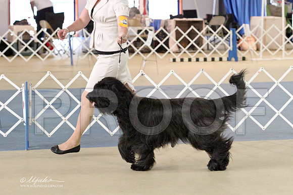 Briard-2700LR