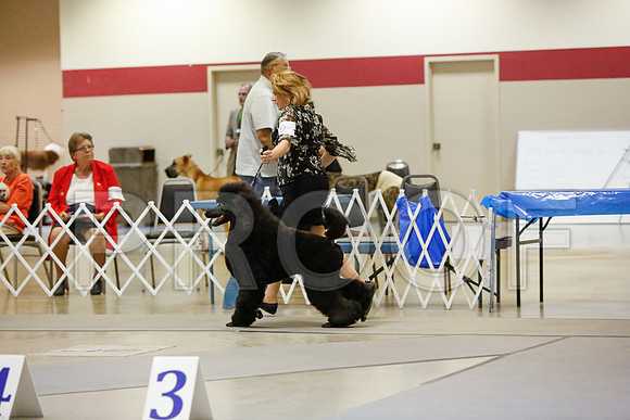 _JN_4934-AmarilloSept2014-HR3