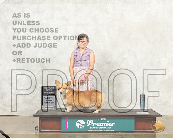 Pembroke Welsh Corgi #699__MJ_9491_Premier_2022_HR3