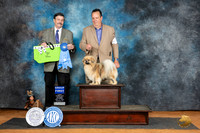 Tibetan Spaiel #7 Sat G1 Judge Jim Fehring
