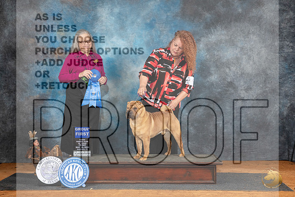 Chinese Shar Pei #9 Fri G1 JUdge Denise Dean__JP_7404_MARSHALL_2024_HR3