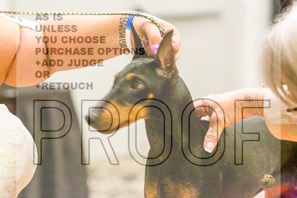 Manchester Terrier MTOY Candids-JJL_2016-Hstn2022_HR3