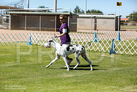 _JN_6363-AlamogordoOct2014-HR3